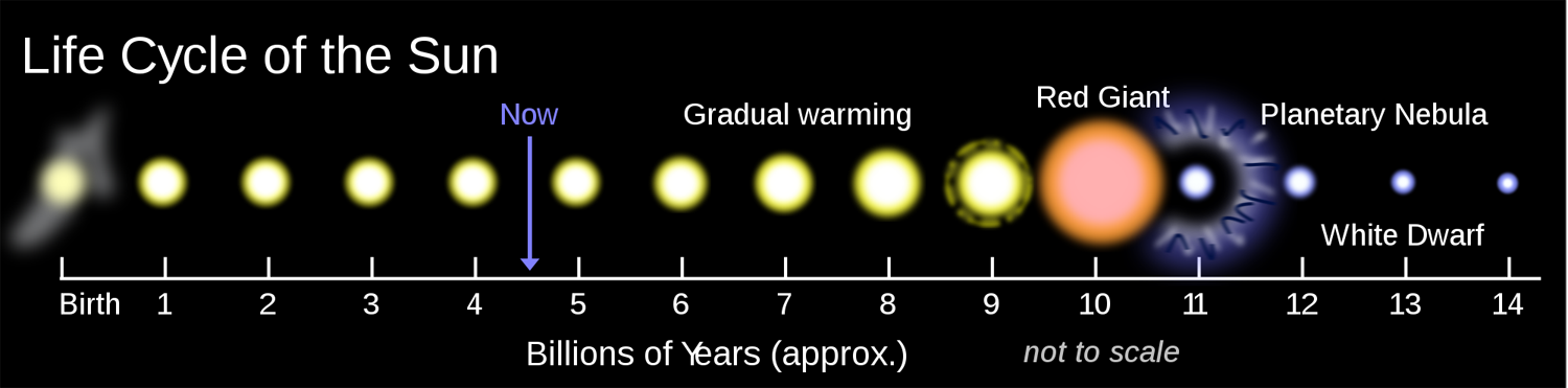 What is the fate of a red giant star?
