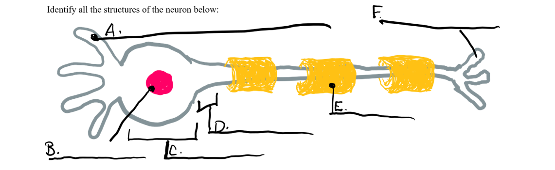 <p>what is f </p>