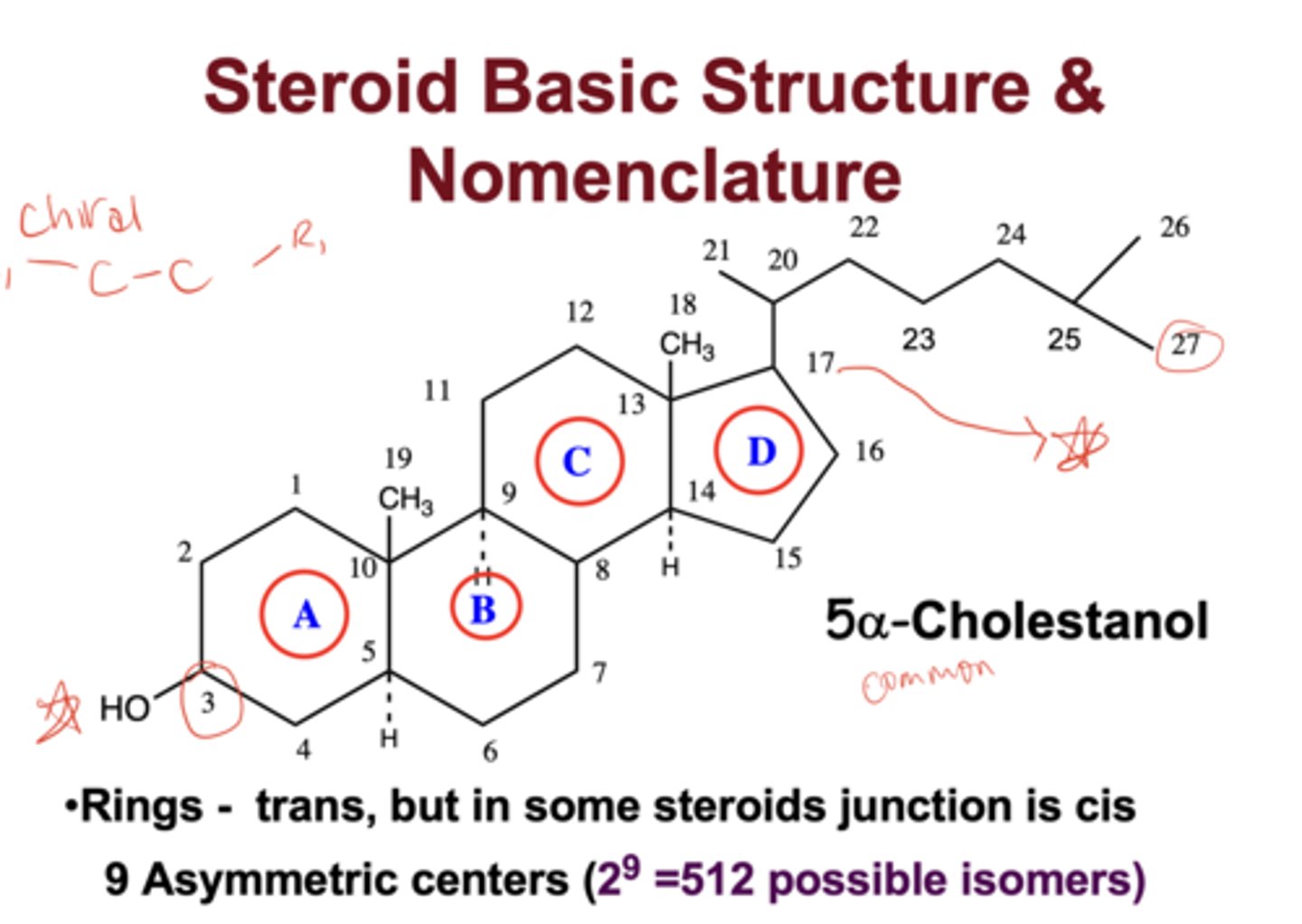 <p>the core steroid structure contains four fused rings (A-D) with carbons numbered 1-27, beginning in ring A and ending on the side chain</p>