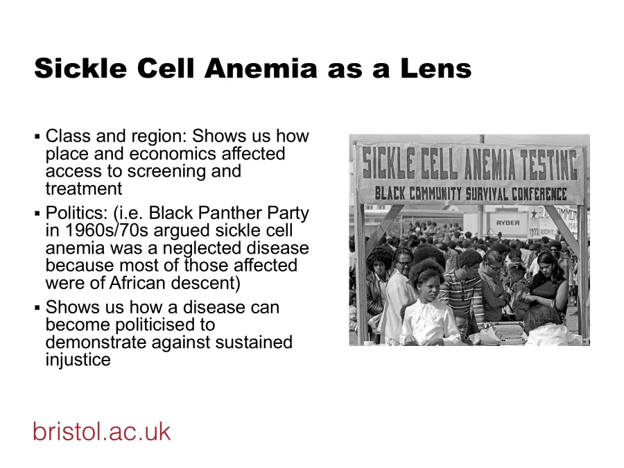 <p>marginalised; those most affected were African-Americans</p>