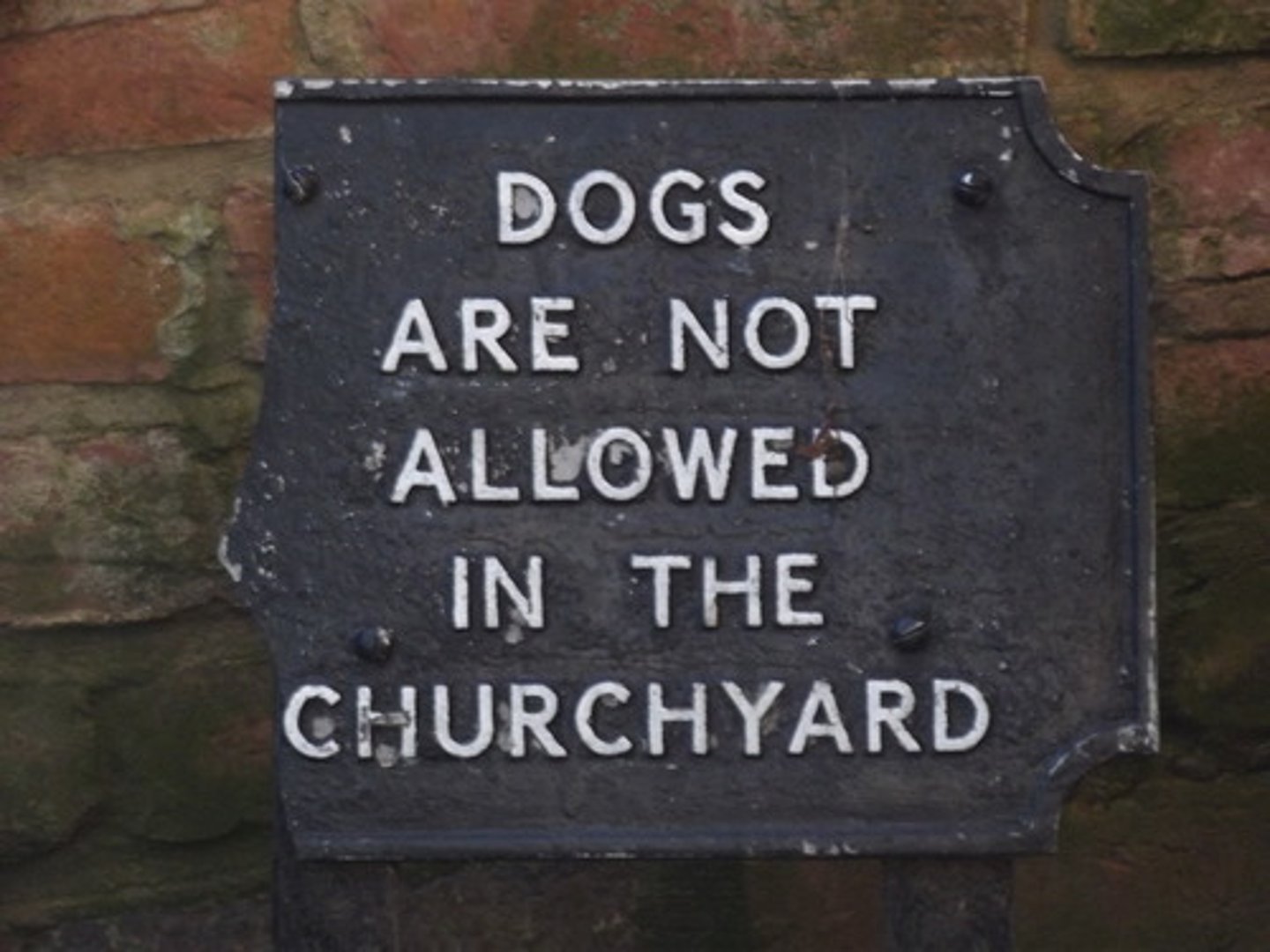 <p>to permit; to allow</p>