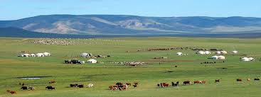 <p>What does sparsely populated mean?</p>