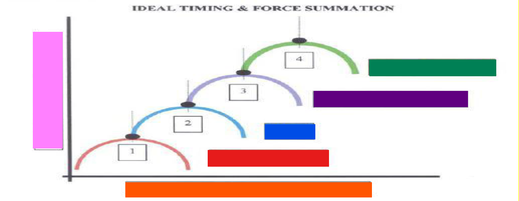 <p>What is the Orange Box?</p>