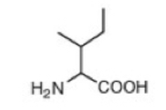 <p>Isoleucine (I)</p>