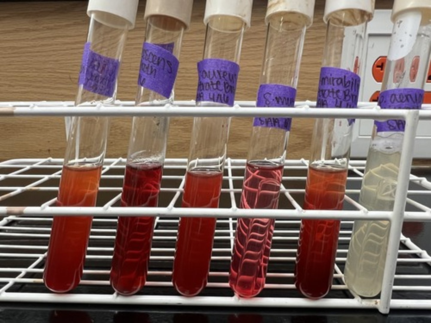 <p>Tests organisms ability to reduce Nitrate to Nitrite (or Nitrogen/ Ammonia).</p><p>Reagents: Sulfanilic Acid + α-naphylamine / Zinc for negative Rxn's (colorless after addition of reagents).</p>