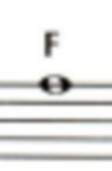 <p>F</p>