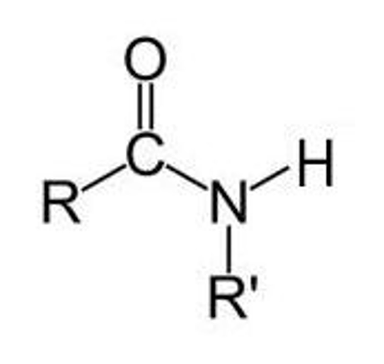 <p>Nitrogen is bound to a carbonyl group, R and H</p>