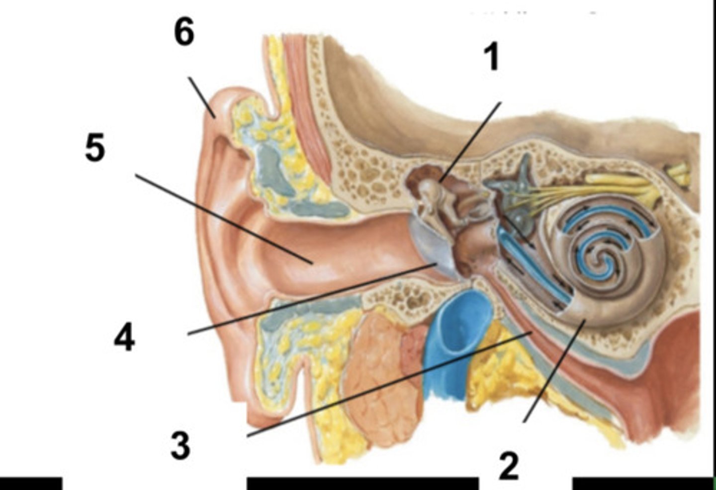 <p>What is structure #2?</p>