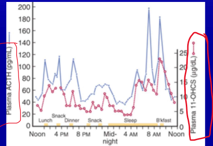 <p>Based on this chart, when is cortisol released the most?</p>