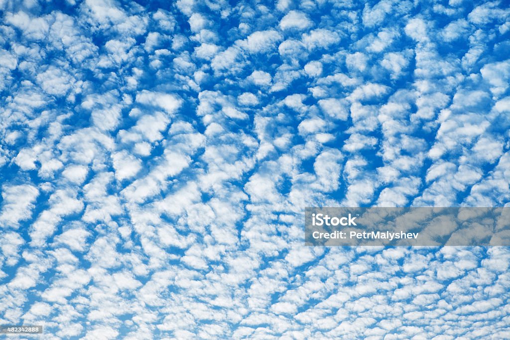 <p>altocumulus</p>