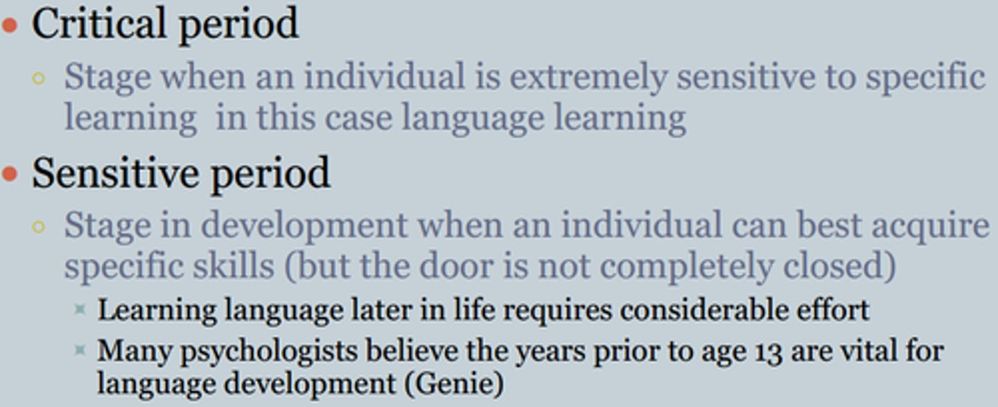 <p>times in development when a person is particularly open to learning a certain skill</p>