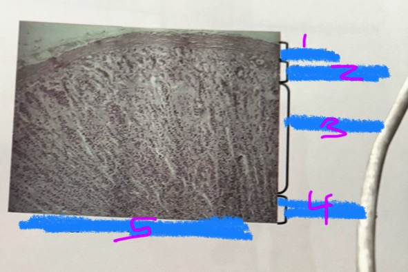 <p>2</p>