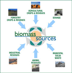 Liquid fuel created from processed biomass