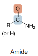 <p>Amide</p>