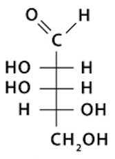 <p>What is the name of this structure?</p>