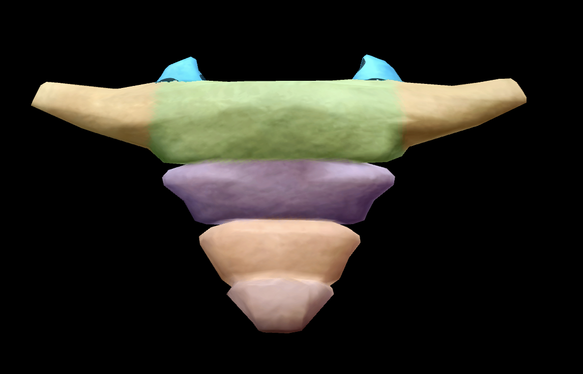 <p>What is this structure?</p>
