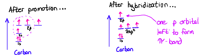 <p>π-bonds form via <strong><span style="color: blue">side-to-side overlap of p-orbitals</span></strong></p><p>If a <mark data-color="red">double bond is present</mark>, a <strong><span style="color: red">p-orbital must still remain</span></strong> after hybridization</p><p><img src="https://knowt-user-attachments.s3.amazonaws.com/5b854e3b-ec76-412f-a821-5d9862112400.jpeg"></p>