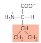 <p>What is this?</p>