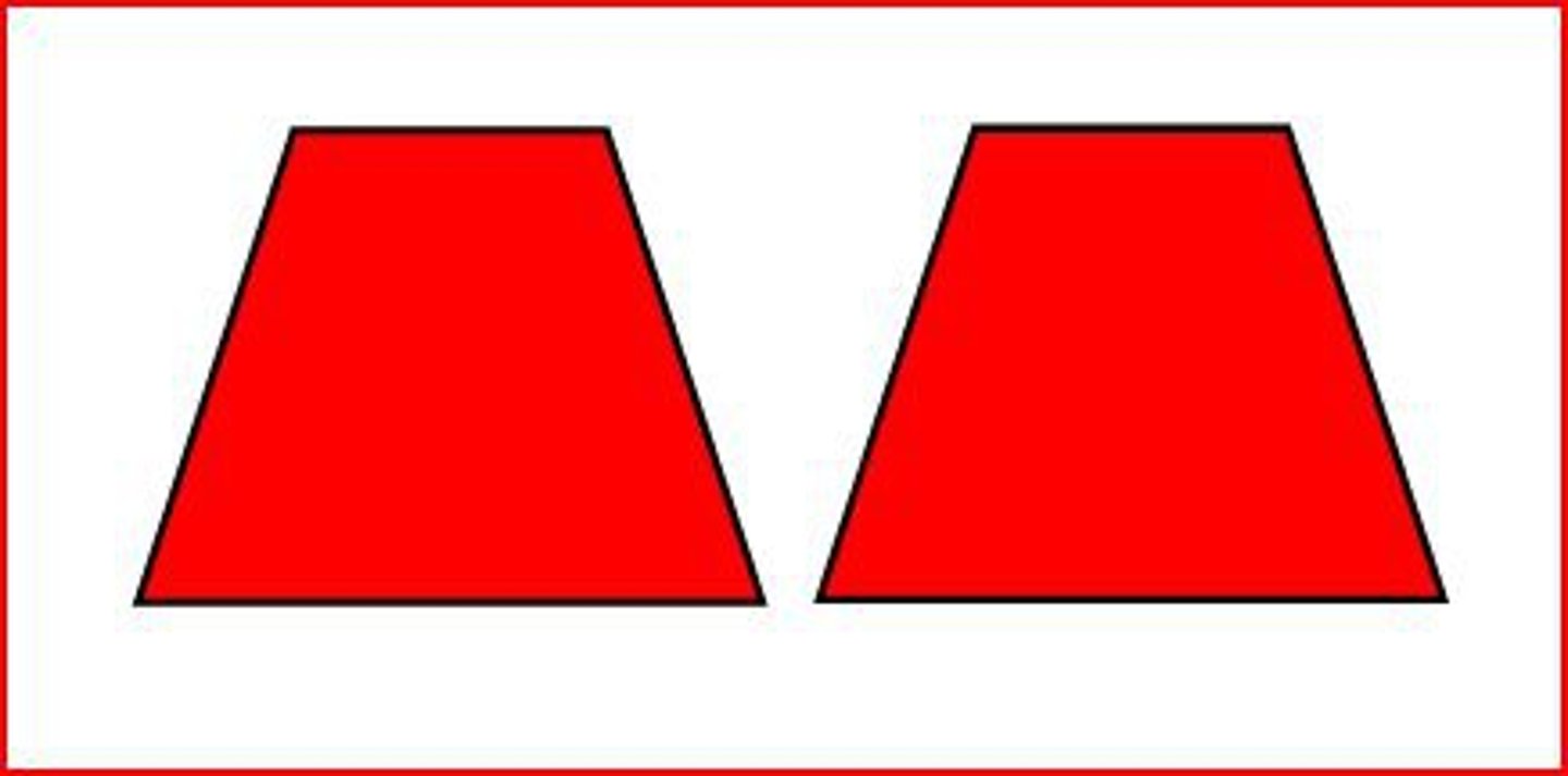 <p>Having exactly the same size and shape.</p>