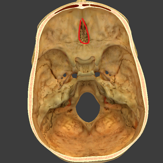 knowt flashcard image