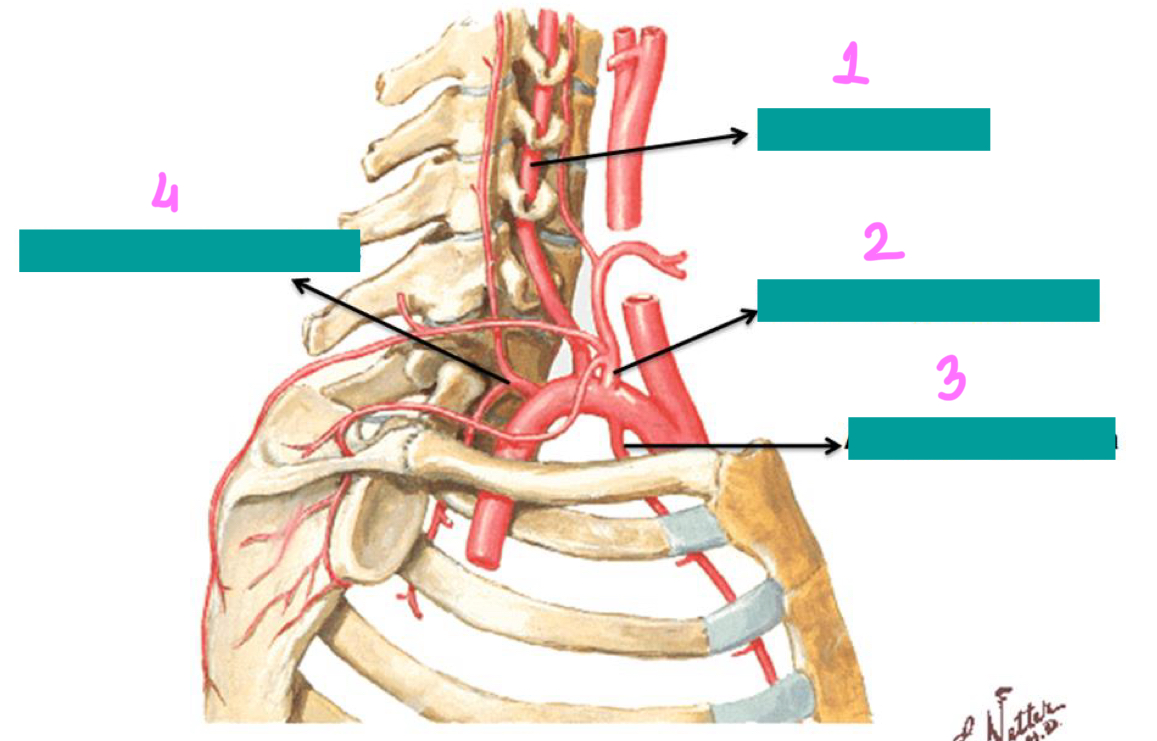 <p>2</p>