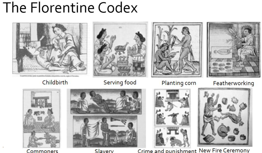 <p>• Bernardino de Sahagún</p><p>• Franciscan friar, attended the University of Salamanca, recruited to New Spain in 1529</p><p>• Franciscans such as Sahagún thought it was important to learn native languages and religious beliefs to help with conversion efforts</p><p>• From 1545 to 1590, he compiled an encyclopedia of Nahuatl culture, called the Florentine Codex</p><p>• Authored in Spanish and Nahuatl, with significant input from his students: the sons of elite Aztec nobles who were sent to the monastery for religions instruction  </p><p>• Originally called: Historia general de las cosas de Nueva España</p><p>• 12 books and over 2,000 illustrations</p><p>• Longest text in a native language in the Americas</p><p>… moxtec codex? find out  </p>