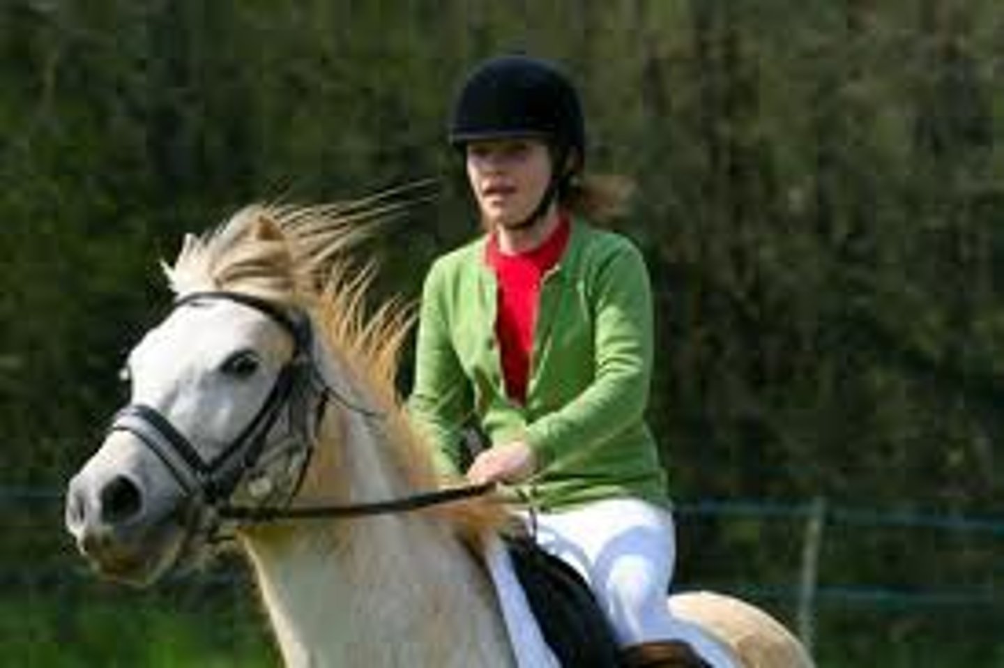 <p>I do horse riding</p>