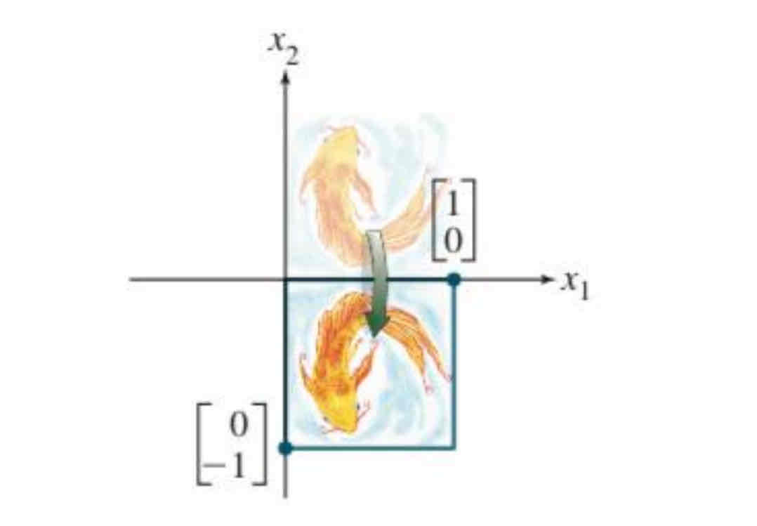 <p>Reflection through the x1 axis</p>