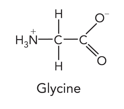 <p>nitrogen containing molecules that are the building blocks of proteins </p>