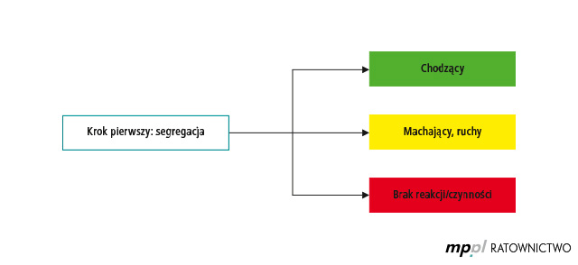 <p><span data-name="ambulance" data-type="emoji">🚑</span><span data-name="ambulance" data-type="emoji">🚑</span><span> Na etapie wstępnej segregacji (Sort) służy do szybkiego, wizualnego podziału poszkodowanych na 3 grupy priorytetowe (nieruszający się, poruszający się celowo, chodzący) przed podejściem do nich.</span></p>