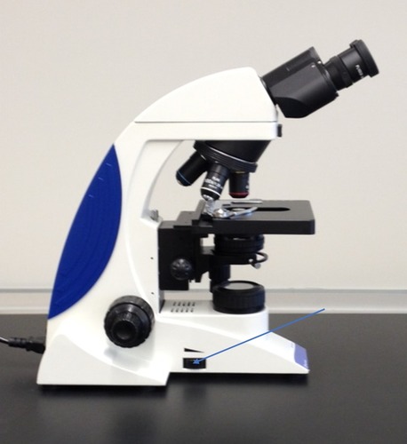 Identify the part of the microscope