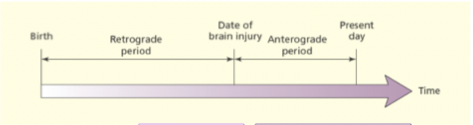 <ul><li><p>events that happened well before brain injury are spared</p></li><li><p>events that happened just before brain injury are impaired</p></li><li><p>ongoing events that happened after brain injury are severely impaired (this is anterograde amnesia)</p></li></ul><p></p>