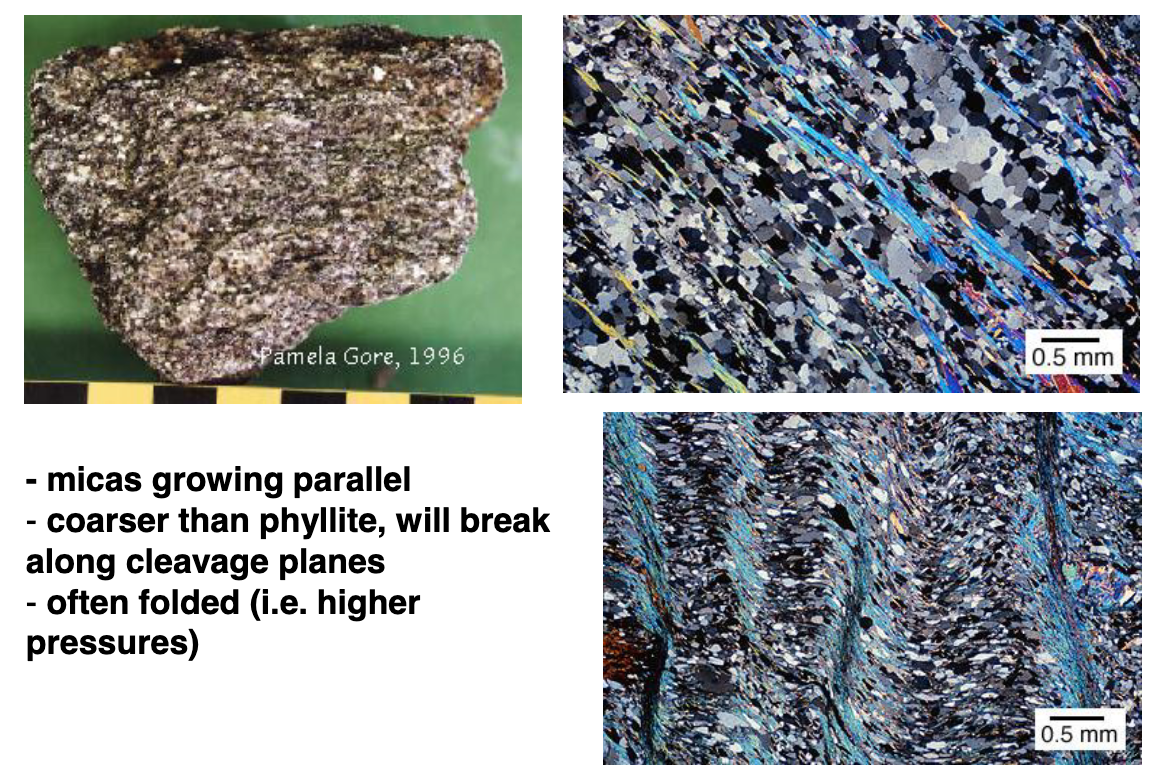 <p>micas growing parallel<br>coarser than phyllite, will break along cleavage planes<br>often folded (higher pressure)</p>