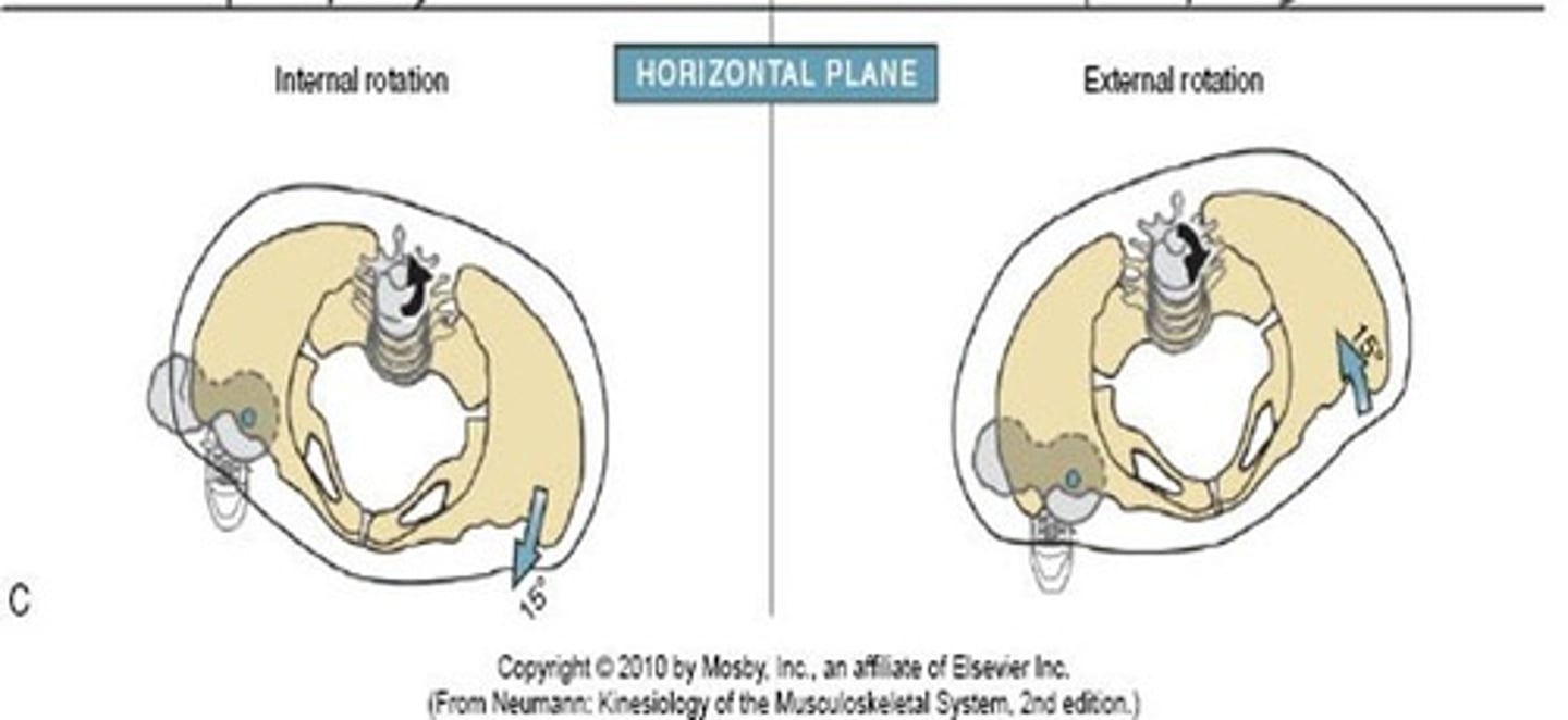 <p>Reduces downward displacement of the CoM: horizontal plane rotation of the pelvis advances the entire swing limb forward, minimizing the amount of hip flex/ext needed for a given step</p>