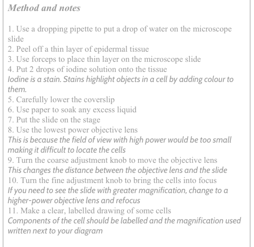 knowt flashcard image