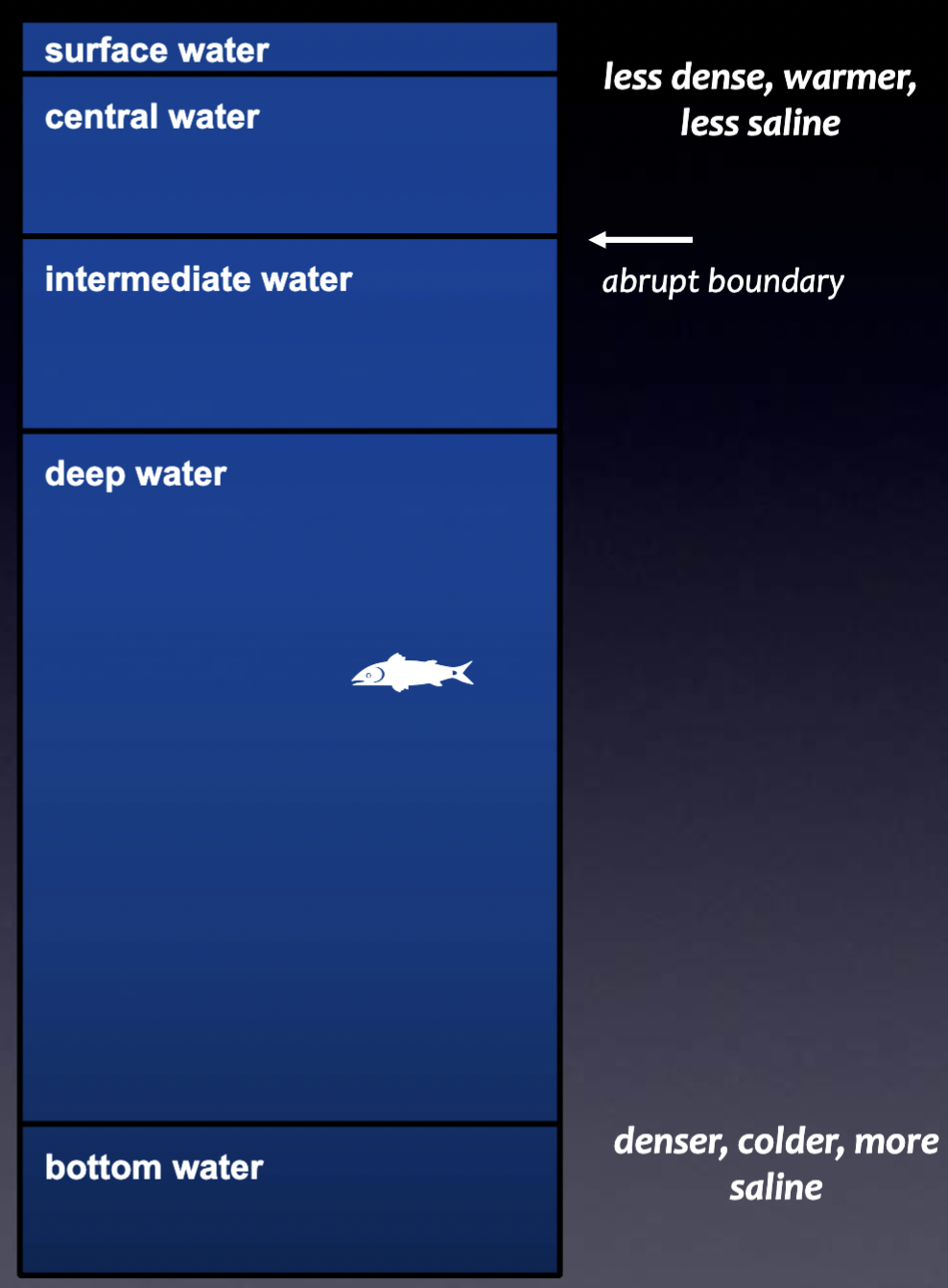 <ol><li><p>Surface water</p></li><li><p>Central water</p></li><li><p>Intermediate water</p></li><li><p>Deep water</p></li><li><p>Bottom water</p></li></ol>