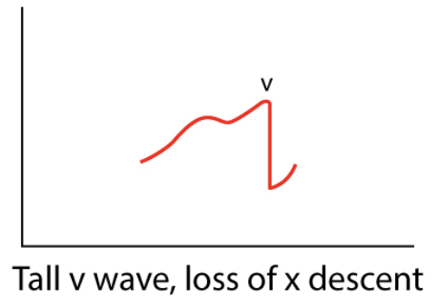 <p></p>