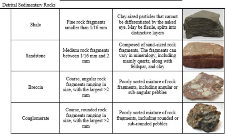 <p><mark data-color="green">Image:</mark> Classification of Sedimentary Rocks - Detrital</p>