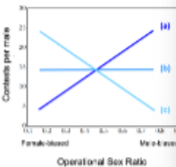 <p><span style="color: #000000"> Using the graph to the right, which are the most likely</span><span style="color: #000000"><br></span><span style="color: #000000">consequences of variation in operational sex ratio (OSR)?</span><span style="color: #000000"><br></span><span style="color: #000000">A. Line A: when OSR is male-biased, males compete more</span><span style="color: #000000"><br></span><span style="color: #000000">strongly and average male mating success is lower</span><span style="color: #000000"><br></span><span style="color: #000000">B. Line A: when OSR is male-biased, males compete more</span><span style="color: #000000"><br></span><span style="color: #000000">strongly and average male mating success is higher</span><span style="color: #000000"><br></span><span style="color: #000000">C. Line C: when OSR is male-biased, males compete less</span><span style="color: #000000"><br></span><span style="color: #000000">strongly and average male mating success should be lower</span><span style="color: #000000"><br></span><span style="color: #000000">D. Line C: when OSR is male-biased, males compete less</span><span style="color: #000000"><br></span><span style="color: #000000">strongly and average male mating success should be higher</span></p>