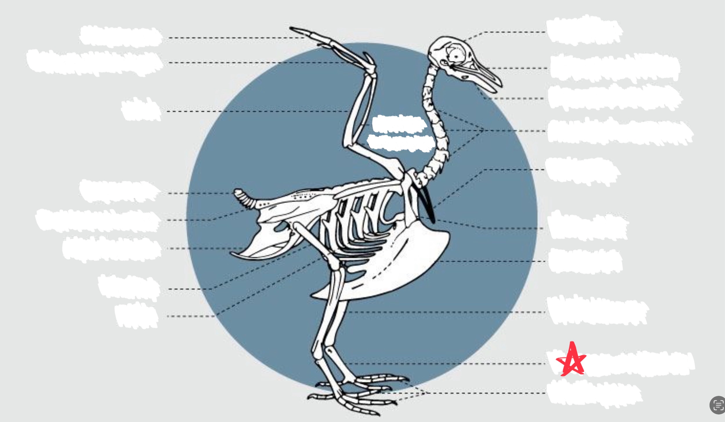 knowt flashcard image