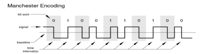 <ul><li><p>has transition in middle of each bit period</p></li><li><p>transition serves as clock and data</p></li><li><p>low to high represents 1</p></li><li><p>high to low represents 0</p></li><li><p>used by IEEE 802.3 (Ethernet)</p></li></ul><p></p>