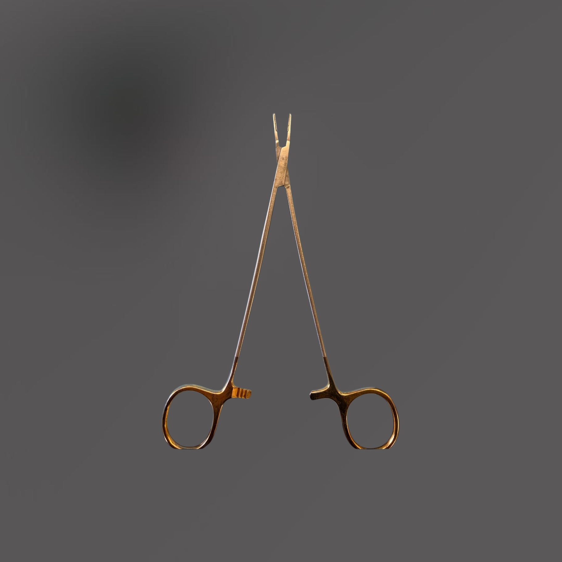 <p>Name this instrument (small needle like tip)</p>