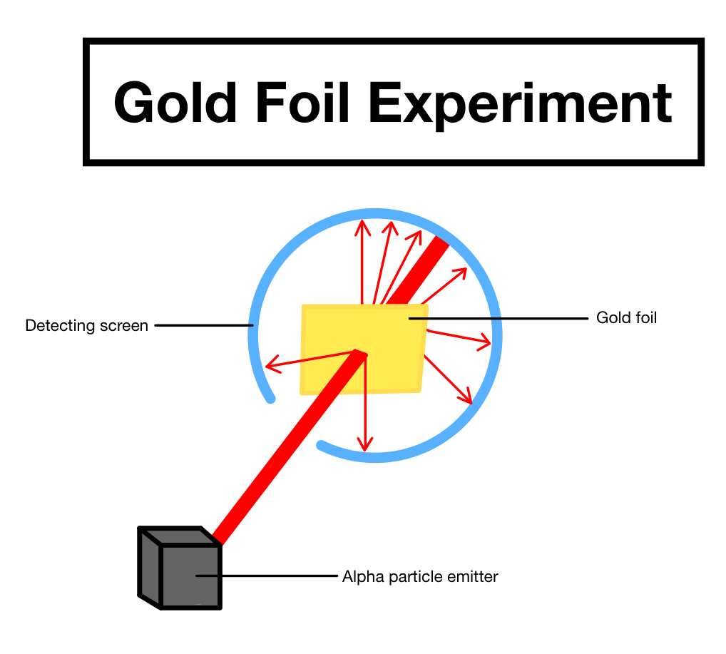 <p>He did the experiment where alpha particles were shot at gold foil. Most went through and some were deflected.</p>