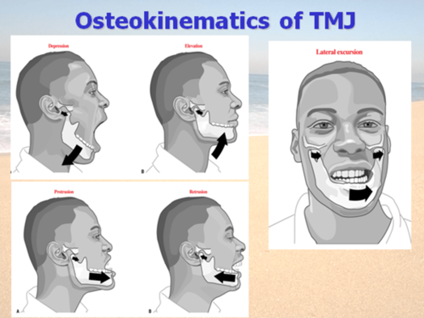 <p>mandibular movements</p><p>Depression (opening): 35-50 mm</p><p>-requires protrusion </p><p>Elevation (closing)</p><p>- requires retrusion </p><p>Protrusion (chin forward): &lt;8 mm</p><p>Retrusion </p><p>(chin backward; aka: Retraction): &lt;5 mm</p><p>Lateral Deviation </p><p>(lateral jaw excursion) 10-15mm</p>