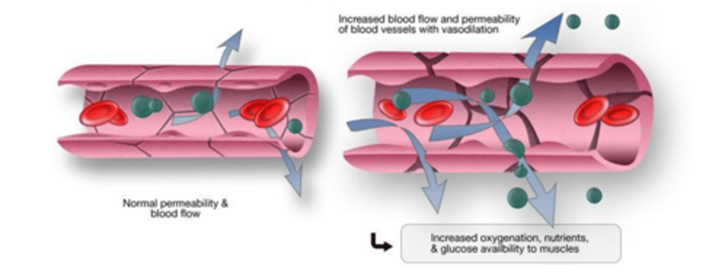 <p>Facilitated by chemical mediators causing</p><p>- Vasodilation (at or near sight of injury), dilute toxins</p><p>- Increase vascular permeability (stuff will leak into interstitial space), edema</p><p>Objective: Get more blood flowing to injured area</p>