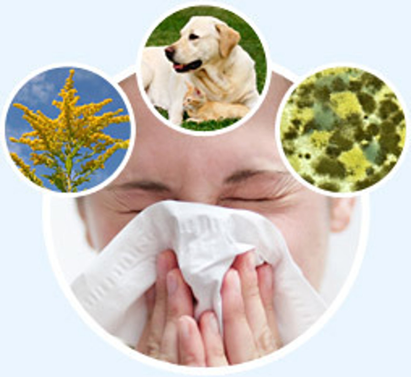 <p>guò mǐn</p><p>to be allergic to</p>