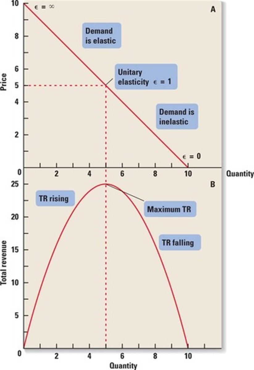 <p>- multiply price by quantity<br>- elastic: P↓ = TR↑ (inverse relationship)<br>- inelastic: P↑ = TR↑ (direct relationship)</p>