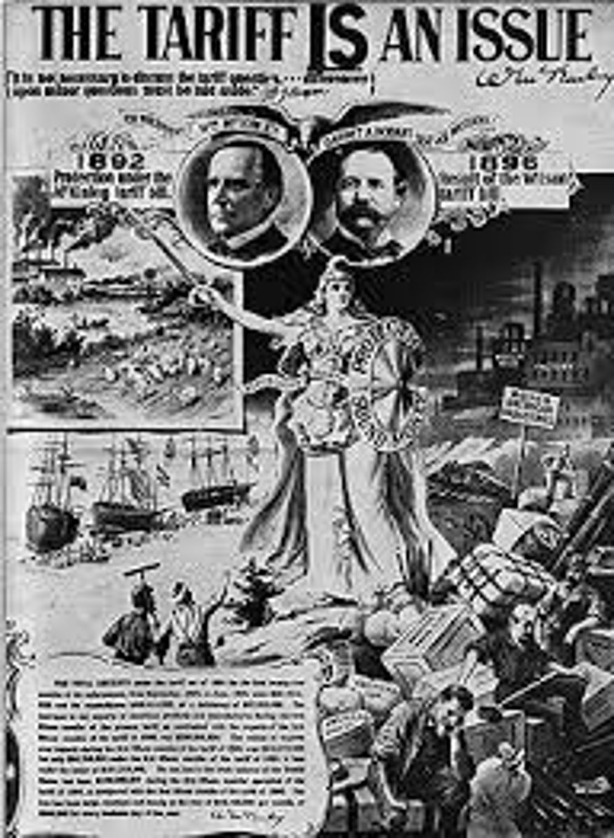 <p>A comprehensive bill passed to protect domestic production from foreign competitors. As a direct result, many European nations were spurred to increase their own trade barriers.</p>