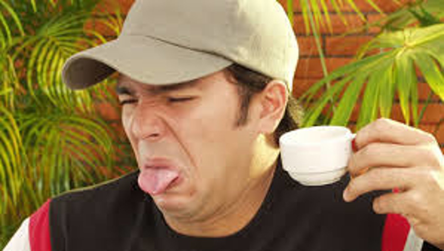 <p>đắng<br>커피가 너무 씁니다<br>Cà phê đắng quá.</p>