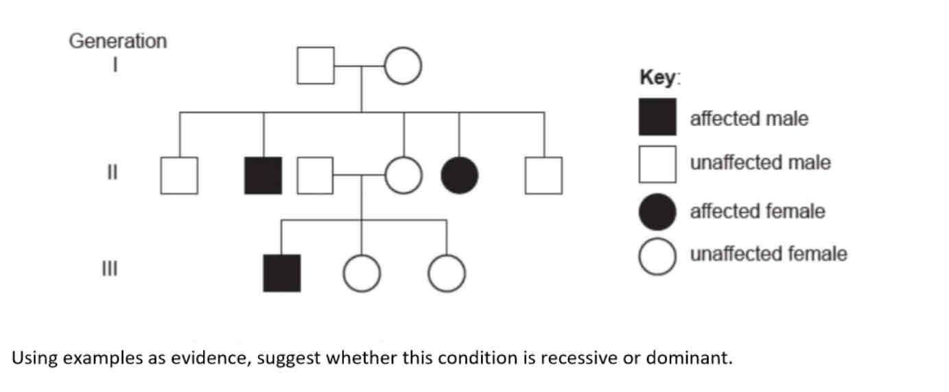 <p>What is the genotype of the affected boy’s father?</p>